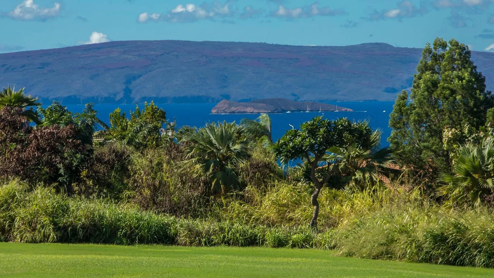 Upscale Wailea! 2-2 With Ocean Viewヴィラ 米国
